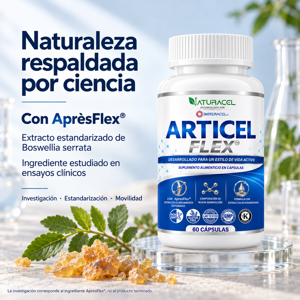 Articel Flex